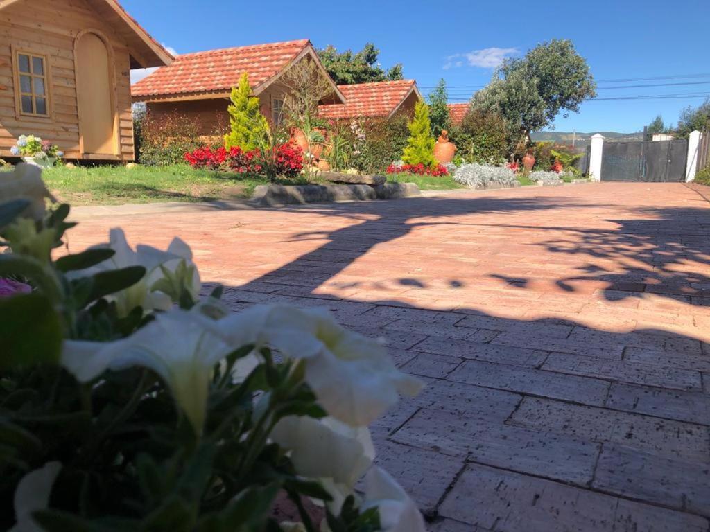 Cabanas Villa Isabel Каїка Екстер'єр фото